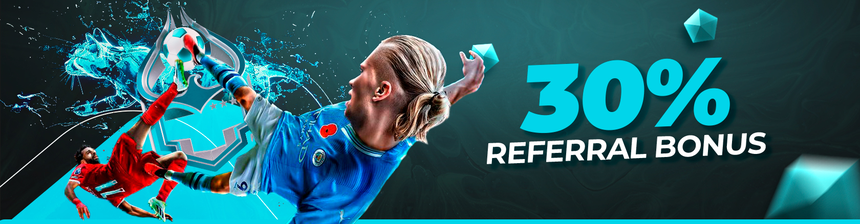 30% Referral Bonus